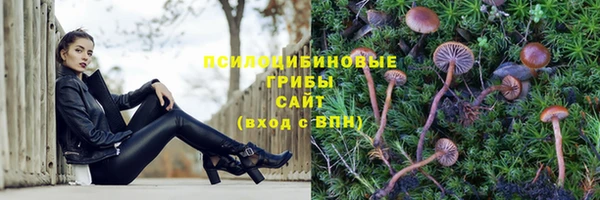 трава Майский