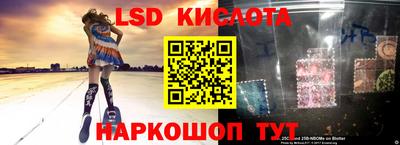 мяу мяу мука Партизанск