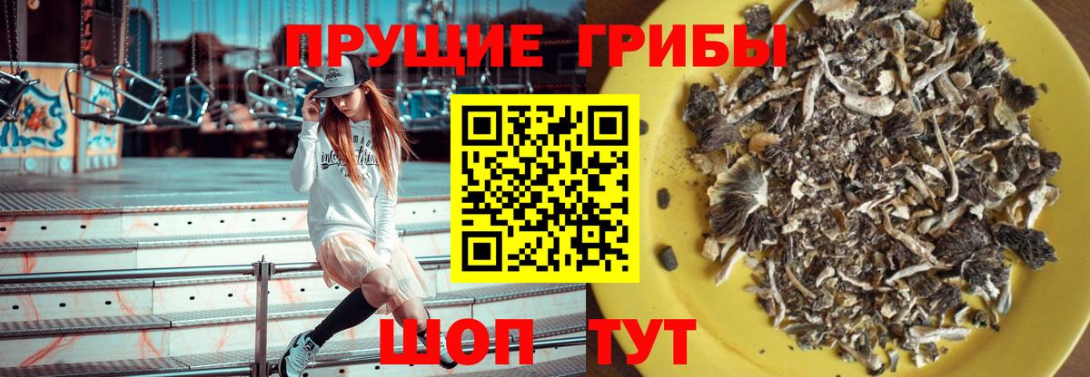 Псилоцибиновые грибы прущие грибы  Вход с VPN  наркотики  Рыбинск 